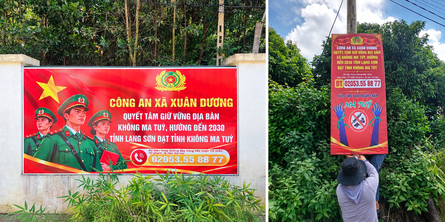 Biển tuyên truyền phòng chống ma túy giữa thiên nhiên